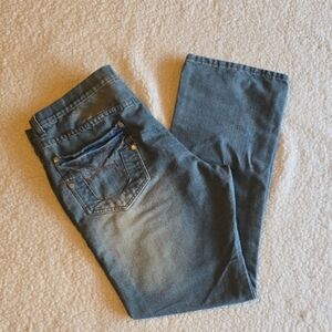 Vintage Y2K Brooklyn Xpress Men Blue Jeans